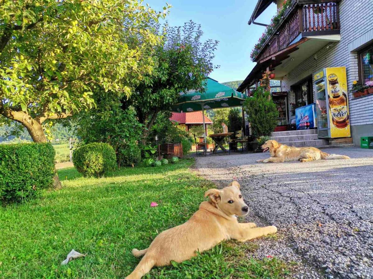 Brvnare Stojic Apartment Kokin Brod Ngoại thất bức ảnh
